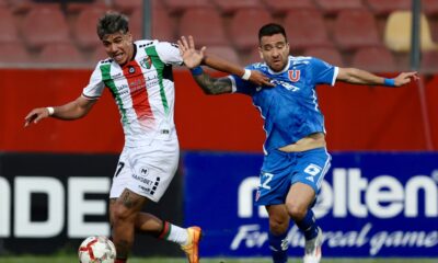 junior zaldivia palestino universidad de chile