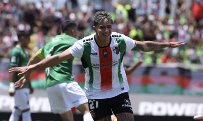 palestino