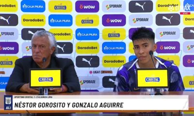 son excelentes jugadores y mejor